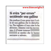 errore tragicomico